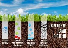 LAWN ROLLING 905-356-5000 - Photo 5