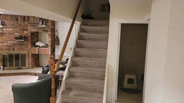 Basement Apartment for Rent Yonge/Weldrick - Photo 2