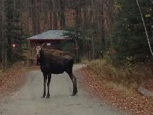 Summer Camp Kitchen Staff wanted