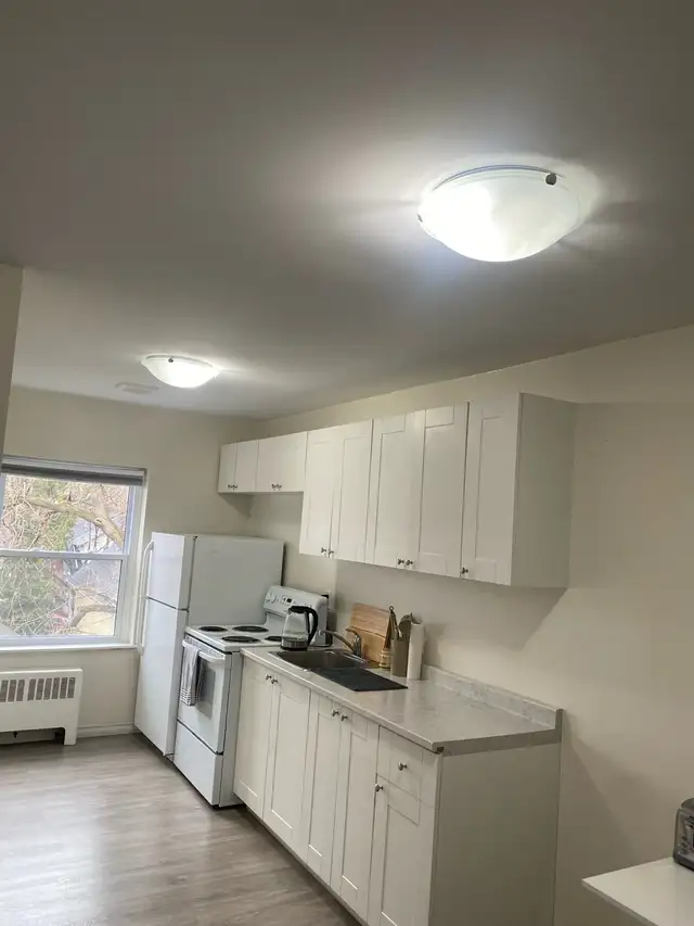 Summer Sublet: Furnished 1-Bedroom Apartment - Photo 4