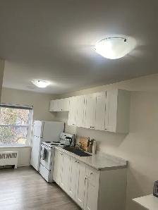 Summer Sublet: Furnished 1-Bedroom Apartment - Photo 4