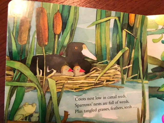 You Nest Here with Me Paperback – Picture Book - Photo 2