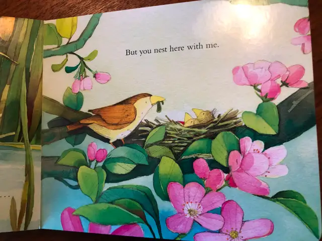 You Nest Here with Me Paperback – Picture Book - Photo 3