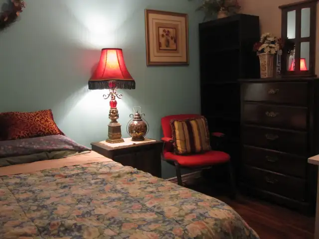 ROOM FOR RENT. FURNISHED, ALL INCLUDED. $45 - Photo 2