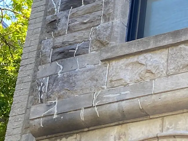 Recherche    homme à tout faire    Sans outils. - Photo 9