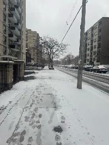 If you are looking for a job