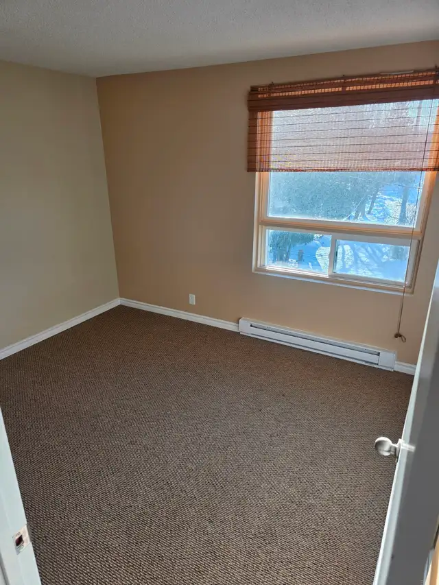 Spacious, Quiet, 2BR Available April 1st - Photo 3