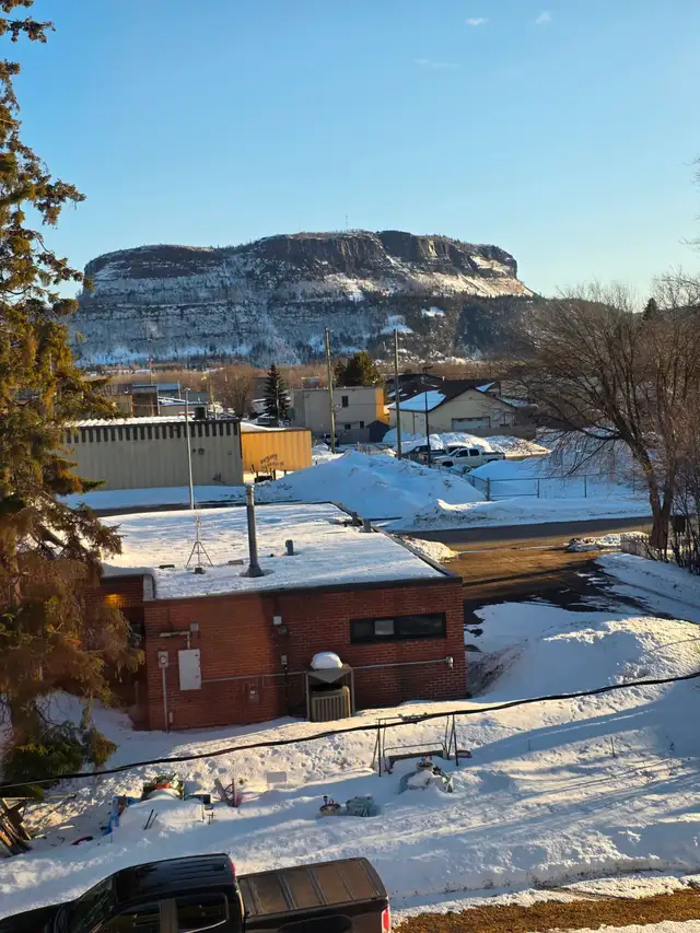 Spacious, Quiet, 2BR Available April 1st - Photo 8