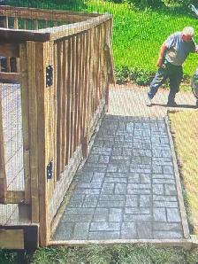 Two men and a cat - Photo 4