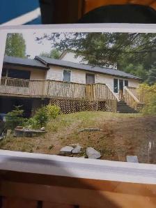 Two men and a cat - Photo 5