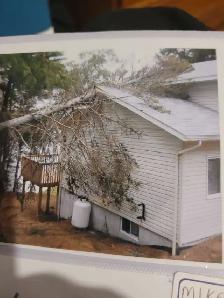 Two men and a cat - Photo 7