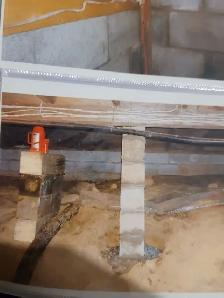 Two men and a cat - Photo 9