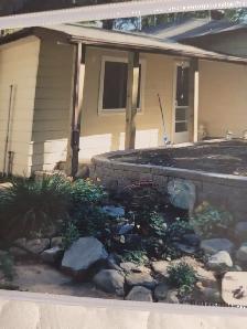 Two men and a cat - Photo 10