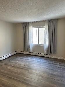FOR RENT 1 & 2 Bd Apartment 11916 105 St Edmonton