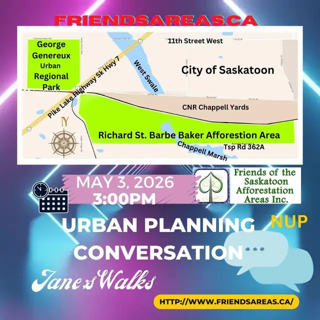 Forest, Memory, and the City We Choose to Build