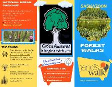 Forest, Memory, and the City We Choose to Build - Photo 2