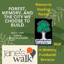 Forest, Memory, and the City We Choose to Build - Photo 3