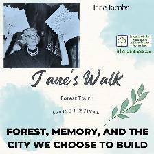 Forest, Memory, and the City We Choose to Build - Photo 4