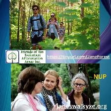 Forest, Memory, and the City We Choose to Build - Photo 8