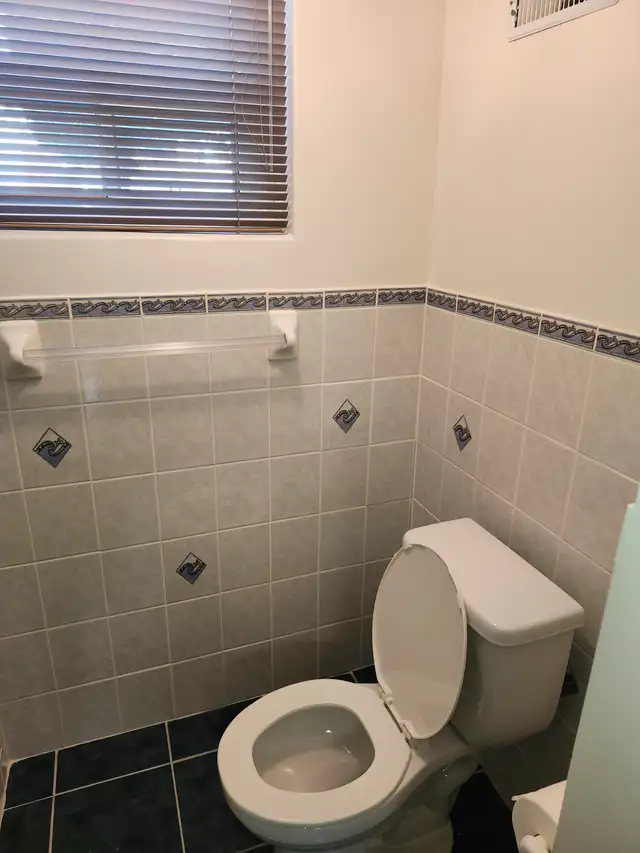 DUFFERIN/LAWRENCE TORONTO  1 BEDROOM BASEMENT APARTMENT FOR RENT - Photo 10