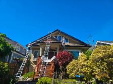 Seasonal Painter - Photo 6