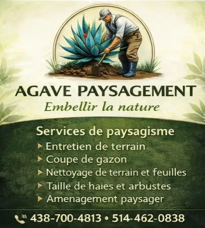 Services professionnels d’aménagement paysager
