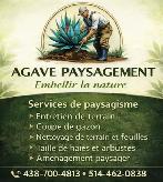 Services professionnels d’aménagement paysager