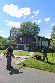 Services professionnels d’aménagement paysager - Photo 2