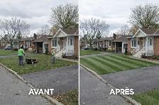 Services professionnels d’aménagement paysager - Photo 4