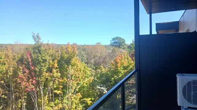 Beau 4 1/2 neuf- construction 2025- à louer dans le secteur de V - Photo 9