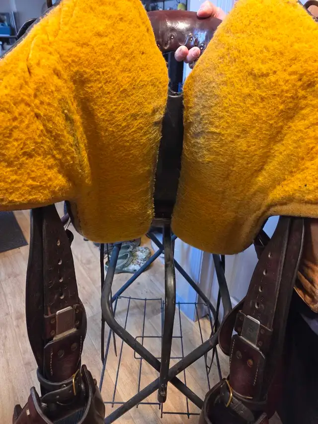 Imus 4Beat endurance or draft saddle - Photo 6