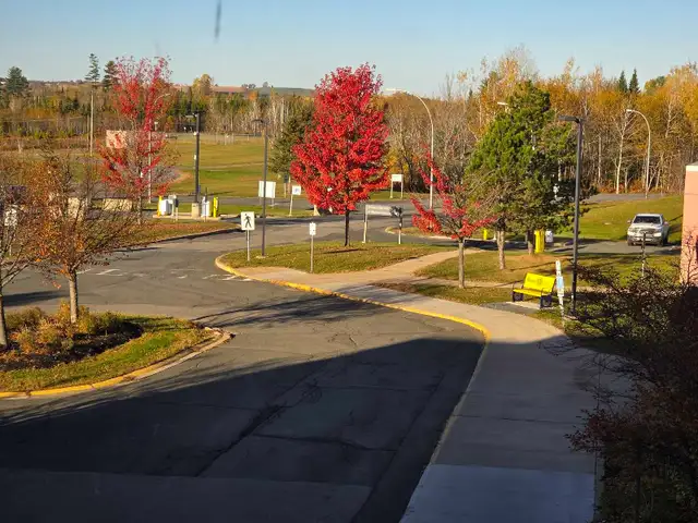 Doctor's Office Assistant