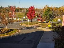 Doctor's Office Assistant