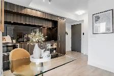 Spacious 600SF 1BR condo available May 1st 2026 Spadina/Queen W - Photo 3