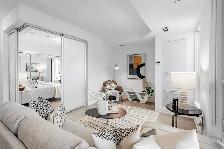 Spacious 600SF 1BR condo available May 1st 2026 Spadina/Queen W - Photo 4