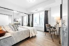 Spacious 600SF 1BR condo available May 1st 2026 Spadina/Queen W - Photo 6