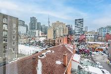 Spacious 600SF 1BR condo available May 1st 2026 Spadina/Queen W - Photo 8