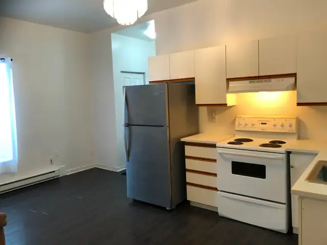 Carleton Place, ON  1 Bedroom Apartment for Rent - Photo 2