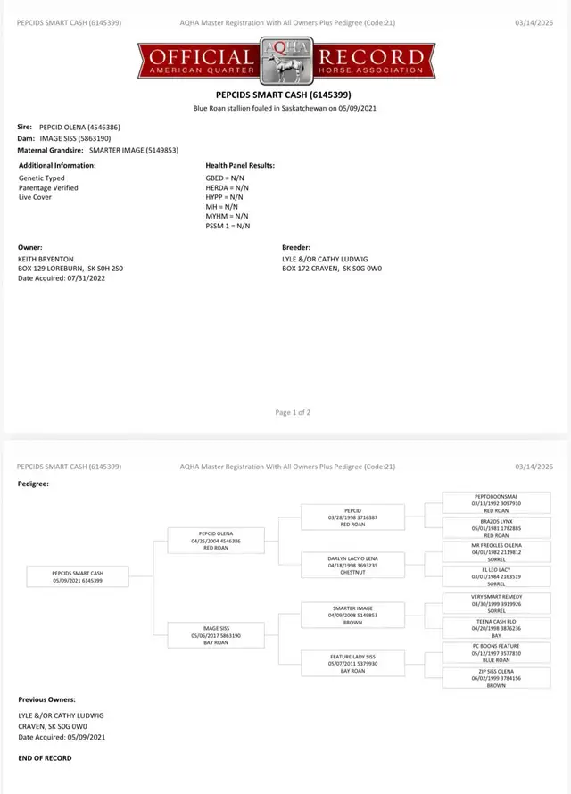 Pepcids Smart Cash - Stallion Servies - Photo 4
