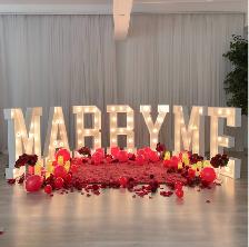 WEDDING PROPOSAL | RENTAL VENUE | NORTH YORK