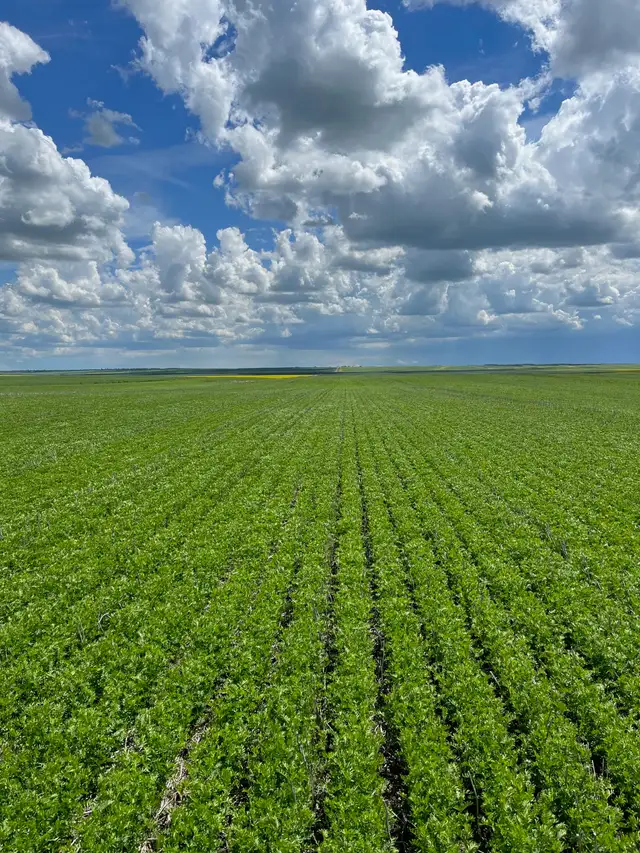 Farm Hand Needed! Family farm with lots of room for growth