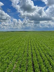 Farm Hand Needed! Family farm with lots of room for growth