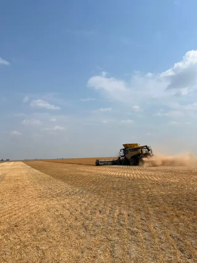 Farm Hand Needed! Family farm with lots of room for growth - Photo 6