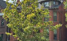 Toronto Home Rental - Gorgeous Furnished 4 Bedroom ALL INCLUSIVE