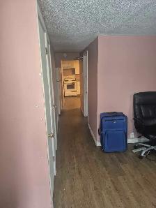 one bedroom apartment - Photo 3