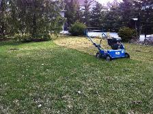 Lawn & Garden Maintenance