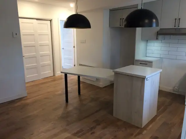 Appartement confortable totalement rénové dans St-Roch - Photo 2