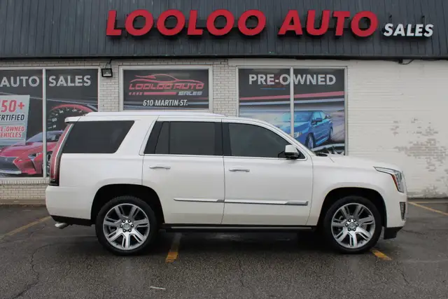 2015 Cadillac Escalade - Photo 8