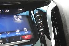 2015 Cadillac Escalade - Photo 19