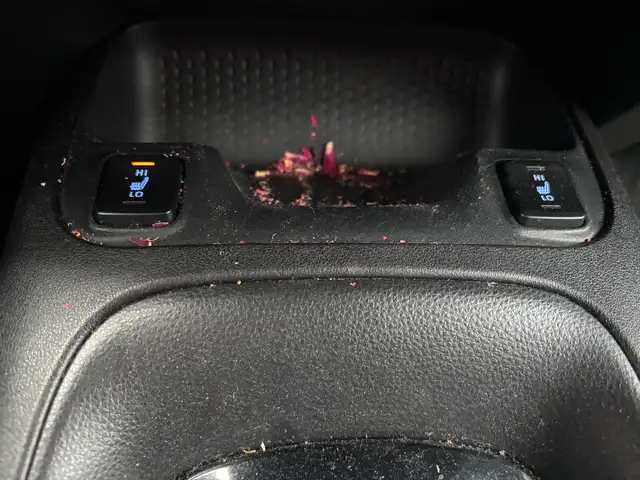 2020 Toyota Corolla LE Automatic - Photo 19